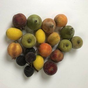 Lot Of 18 Sugar Glitter Fruit Small Beaded Artificial Variety
